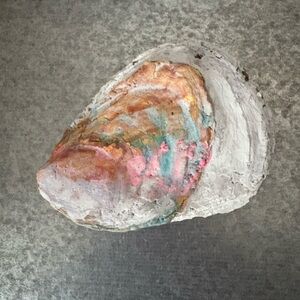 Hand Painted Multicolor Seashell